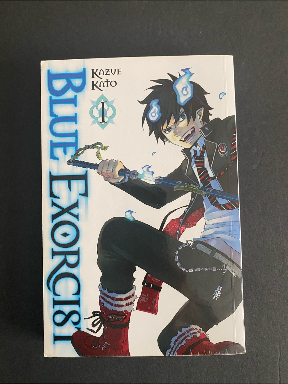 Blue Exorcist Volume 1 Manga -G